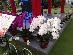 -兰陵国家农业公园