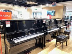 -柏斯音乐艺术中心·钢琴·吉他(上音店)