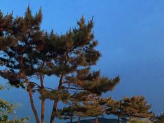 -威海国际海水浴场旅游区