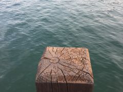 -天鹅湖生态旅游风景区