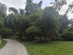 -晓港公园