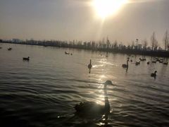 -艾溪湖湿地公园