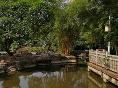 -晓港公园