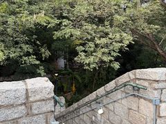 -九龙公园