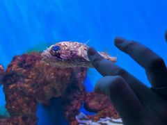 -海合安武汉极地海洋公园