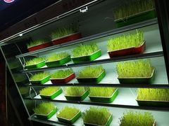 -番食园鲜食火锅(高新店)