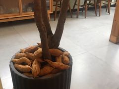 -知亘茶食