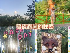 -乌素图国家森林公园