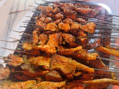 -甘兰老金家辣子烤肉