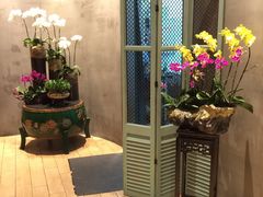 -若蘭慈·无国界素食料理(欢乐海岸店)
