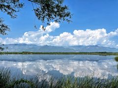 -野鸭湖国家湿地公园