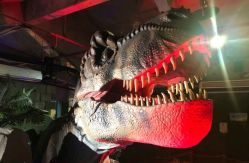 -恐龙探索乐园(磁器口店)