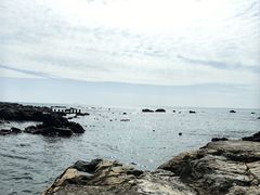 -西涌国际滨海旅游区