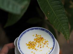桂花双皮奶-周大娘牛乳(旧寨古村总店)