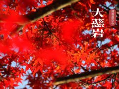-大慈岩风景区