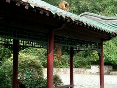 -黔灵山公园-南门售票处