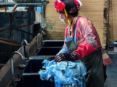 -璞真扎染博物馆