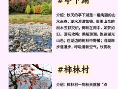 -四明山国家森林公园
