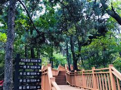 -鲁山国家森林公园