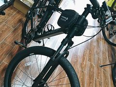 -道路口单车爱瓦士dahon大行