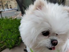 -宠颐生动物医院·心脏科·保险定点(锦阳分院)