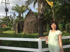 -东芭乐园