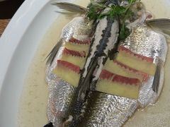 -宁波柏悦酒店·钱湖渔港