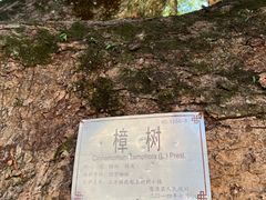-上坦村