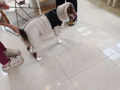 -瑞鹏·疫苗·绝育·宠物医院(金沙洲店)
