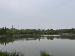 -北坞公园