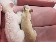 -胡记饭店(保工街店)