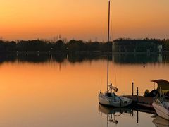 -上海月湖雕塑公园