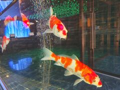 -大逸传奇·足道SPA(天美店)