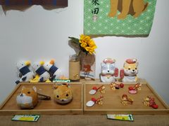 -柴迷FANS CLUB·柴犬狗咖·猫咖