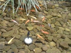 -文儒九号·闽菜馆(三坊七巷店)