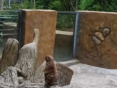 -合肥野生动物园