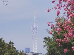 -广州塔