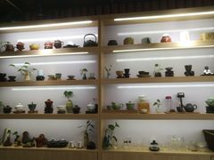 -枞馫单丛茶·茶室·茶馆(风林绿洲店)