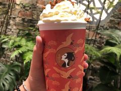 -茶理宜世(东方宝泰店)