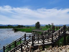 -野鸭湖国家湿地公园