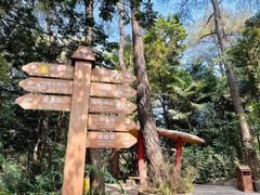 -白云山风景名胜区