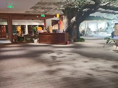 -大视光学•LINDBERG林德伯格•全球手工眼镜集合店(王府井店)