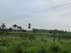 -侯臣咖啡文化村