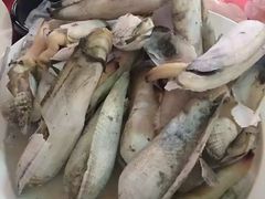-白沙滩