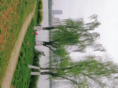 -安徽大学(磬苑校区)