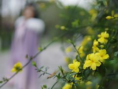 -汉仪华裳汉服旗袍·摄影写真馆(乌镇西栅店)