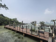 -金鸡湖桃花岛