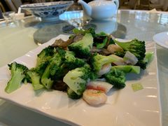 双鲜西兰花-双井轩(双井店)