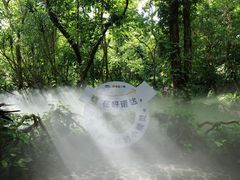 -呀诺达热带雨林