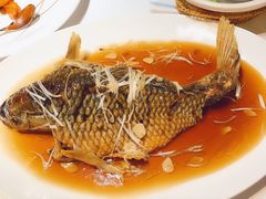 -津菜典藏(中北镇店)